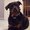 Photo of Ellie S.
