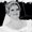 Photo of Lisa C.
