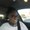 Photo of Sade D.