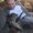 Photo of Noah S.