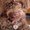 Photo of Jillene P.