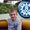 Photo of Qype User (Melvin…)