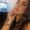 Photo of Elana E.