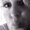 Photo of Kristine K.