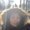 Photo of Marisca S.