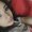 Photo of dalia g.