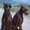 Photo of Dobe M.