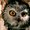 Photo of Nightowl C.