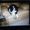 Photo of Retrogamer P.