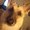 Photo of Slone M.