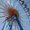 Photo of Qype User (mucfoo…)