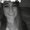 Photo of Kayleah F.