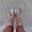 Photo of Xanthe U.