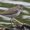 Photo of Washington Park Conservancy W.