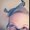 Photo of Katrine T.