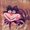 Photo of Cindy L.