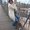 Photo of Cheri P.