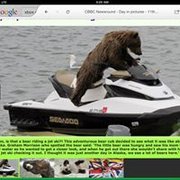 google avatar