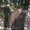 Photo of Steve D.