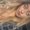 Photo of Mikayla J.