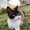 Photo of Corrina S.