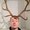 Photo of Nick L.
