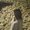 Photo of AnnMarie S.