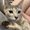 Photo of Dan H.