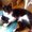 Photo of kathi p.