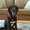 Photo of Jmo M D.