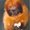 Photo of Qype User (edcoo…)