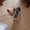 Photo of Cathi P.
