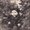 Photo of Stephanie V.