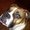 Photo of Kennon H.