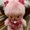 Photo of Sherly Y.