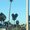 Photo of Yvonne H.