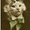 Photo of E. T.