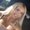 Photo of Madisyn J.