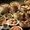 Photo of Dim Sum S.