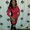 Photo of Cindy R.