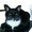 Photo of Laura P.