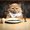 Photo of Kitty M.