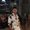 Photo of Everardo S.