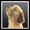 Photo of Qype User (peach1…)