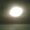 Photo of Raf S.