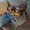 Photo of April M.