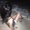Photo of Luiza R.