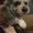 Photo of Danny M.