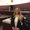 Photo of Hayley M.