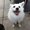 Photo of Cloe L.